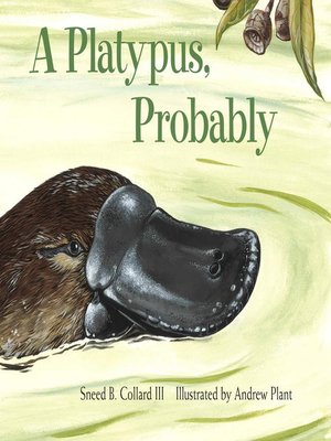 cover image of A Platypus, Probably
